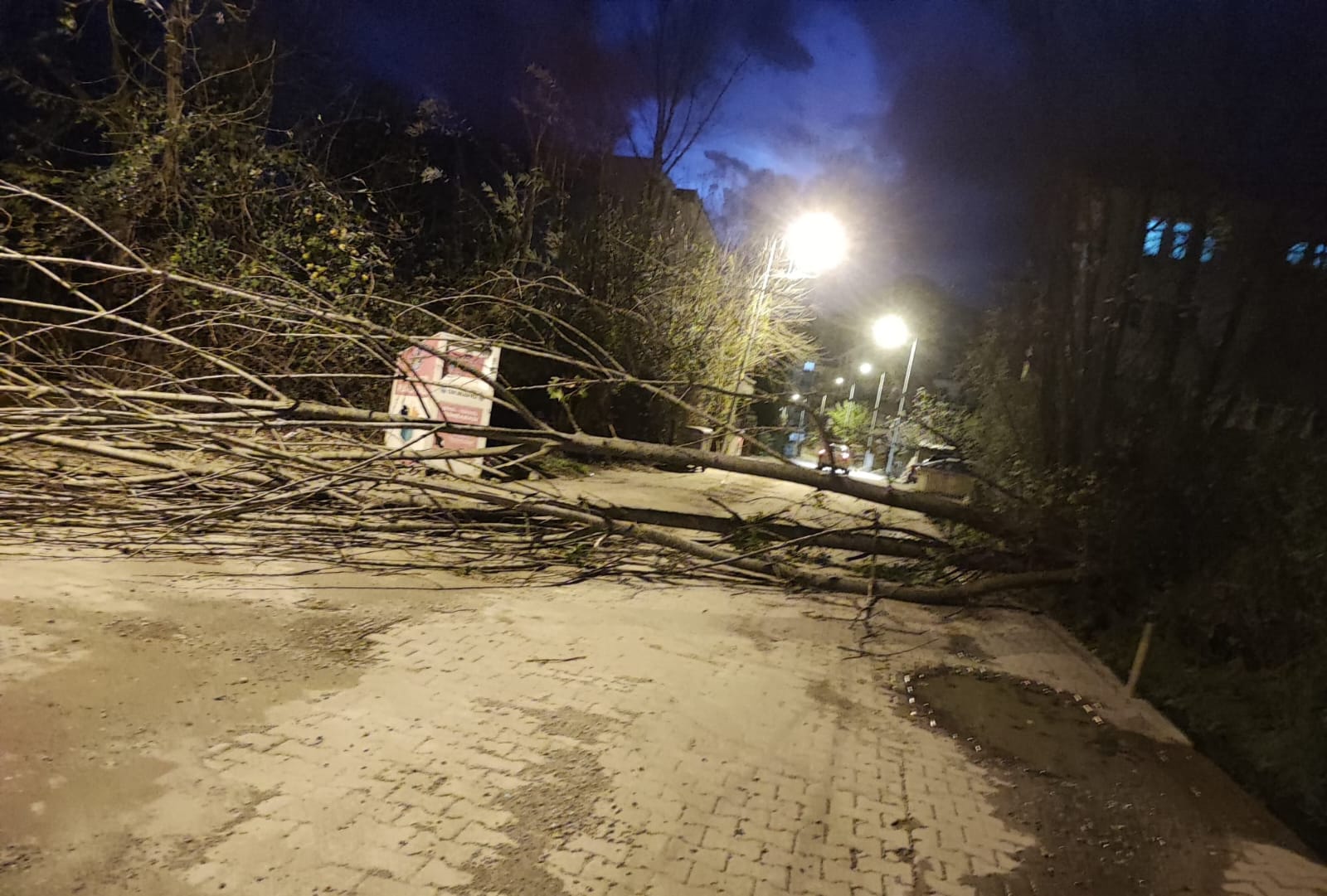 Cide'nin o köyünde fırtına çatıları uçurdu - Kastamonu İstiklal