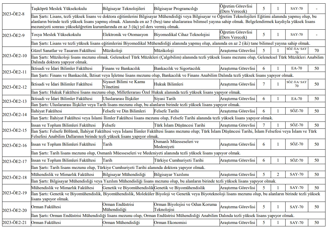 kastamonuuniversitesiogretimelemanialiyor-2