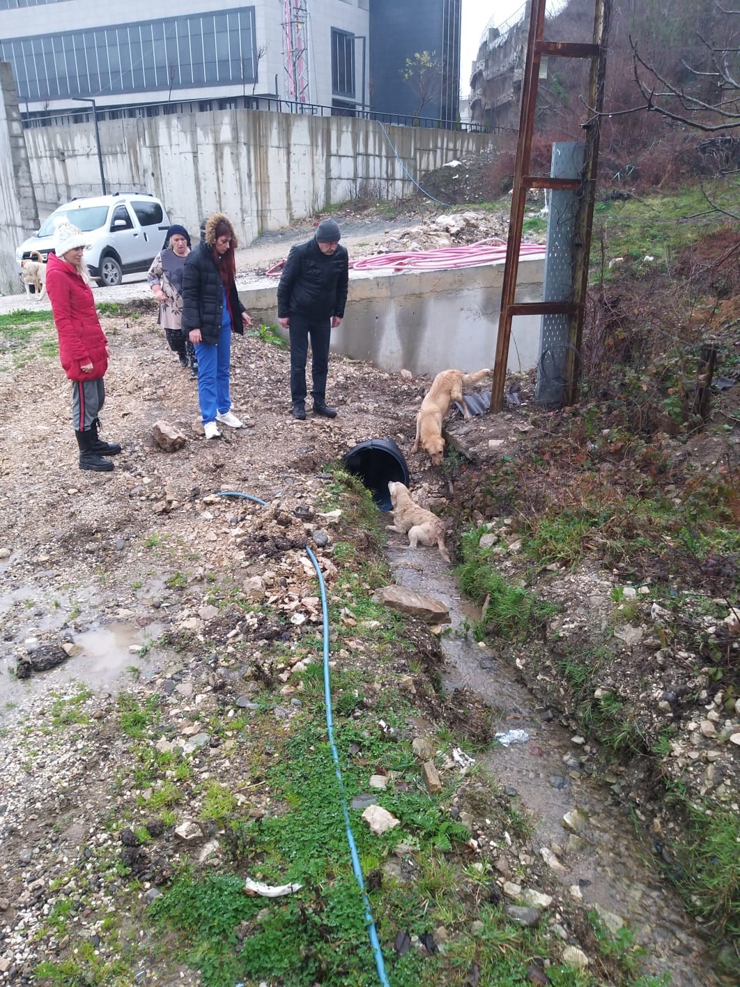 Cideacımasızsaldırı (2)