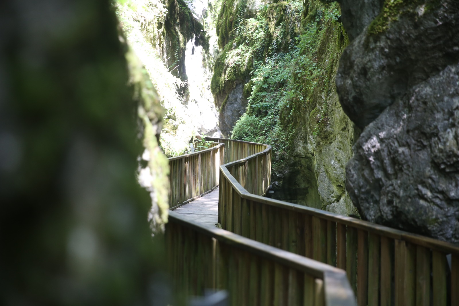 C12B567A 99B4 4775 B94B 9E262D87F711