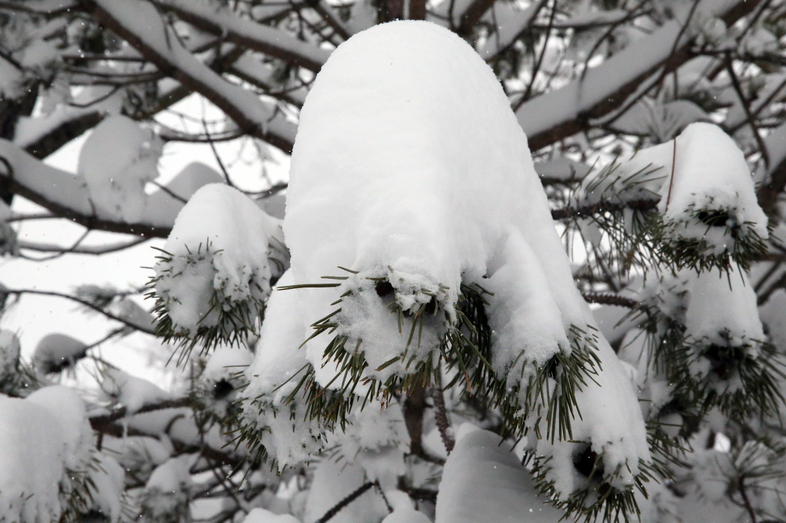 Kastamonu Da Ormanlık Alanlardaki Kar Havadan Goruntulendi (4)