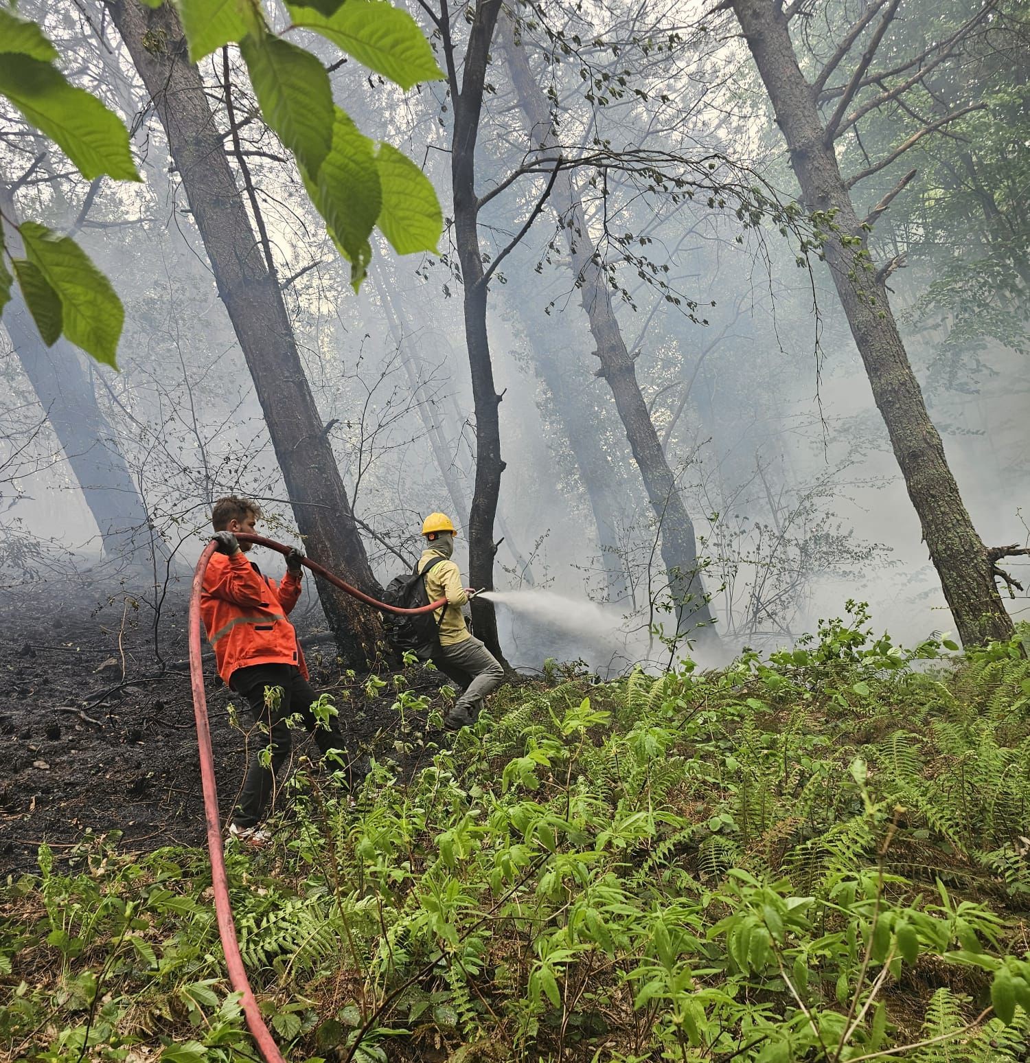 Çıkan Fırtına Kastamonu'da Orman Yangınına Neden Oldu (2)