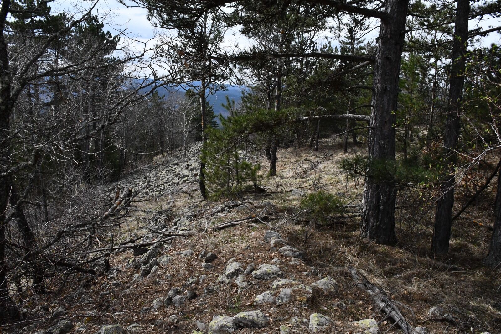 Kastamonu'da Gizemli Tepe Merak Uyandırıyor (5)