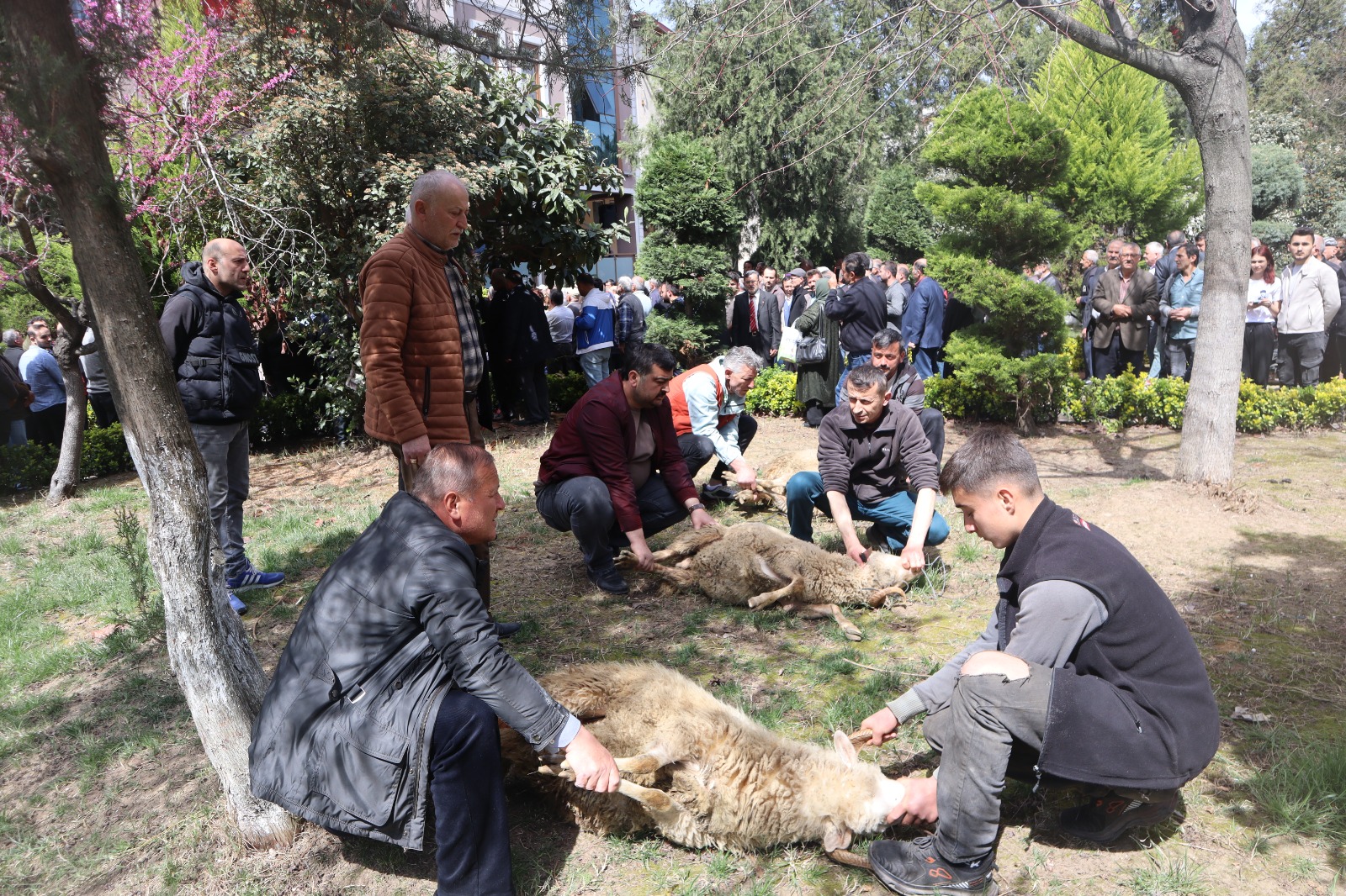 Nejdet Demir “Üç Hilale Üç Kurban Etti Cide