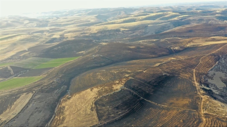 Diyarbakır Ve Mardin Arasında Anız Yangını 11 Can Kaybı, 78 Yaralı (2)