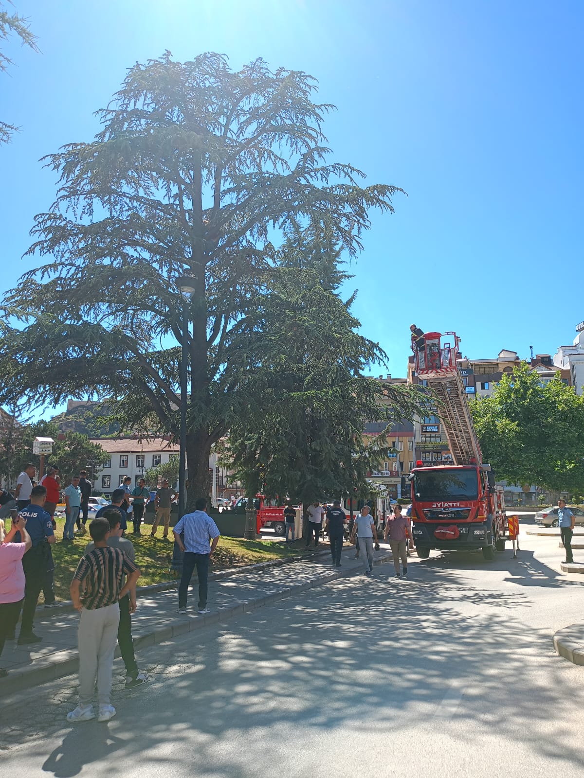 Kastamonu Belediyesi Intihar (1)