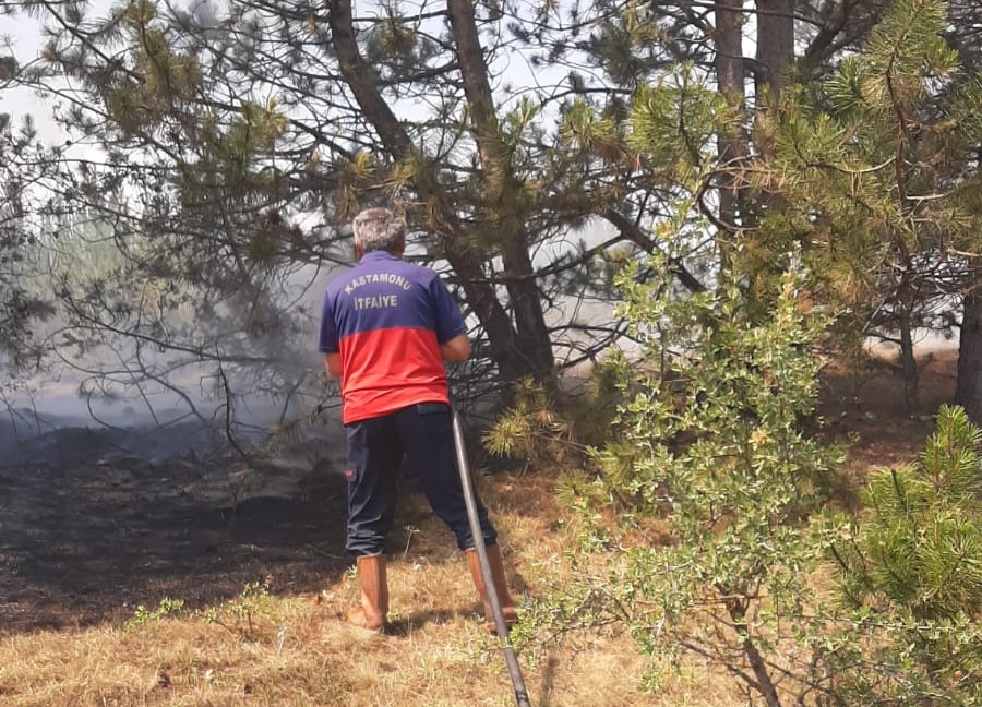 Kastamonu’da Bir Orman Yangını Daha! (2)