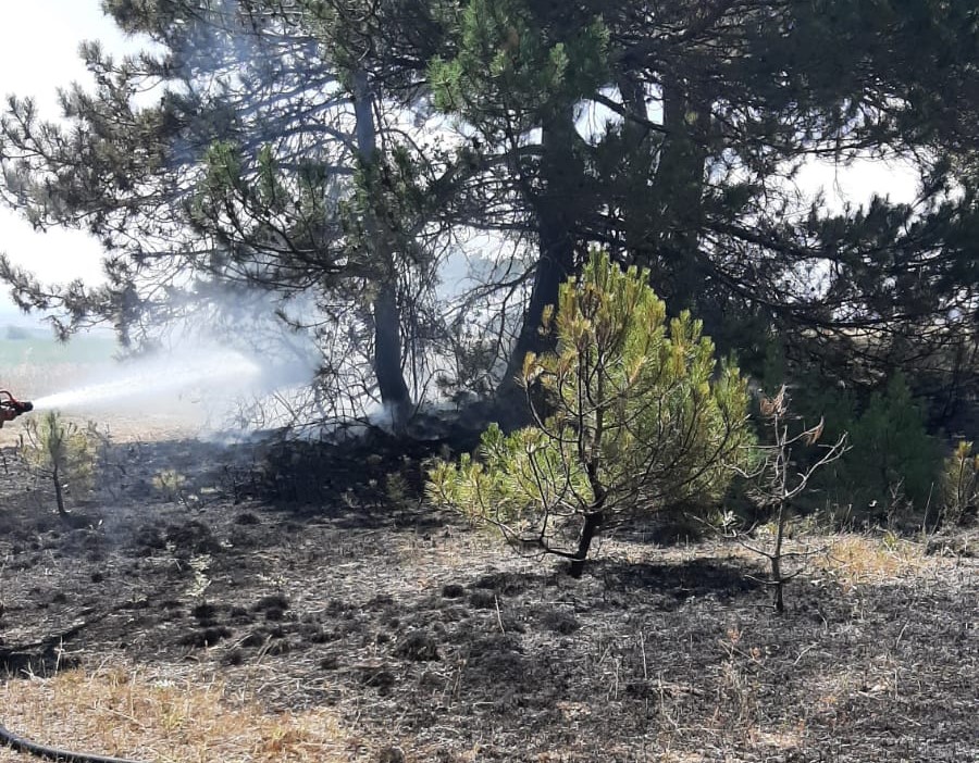 Kastamonu’da Bir Orman Yangını Daha! (3)