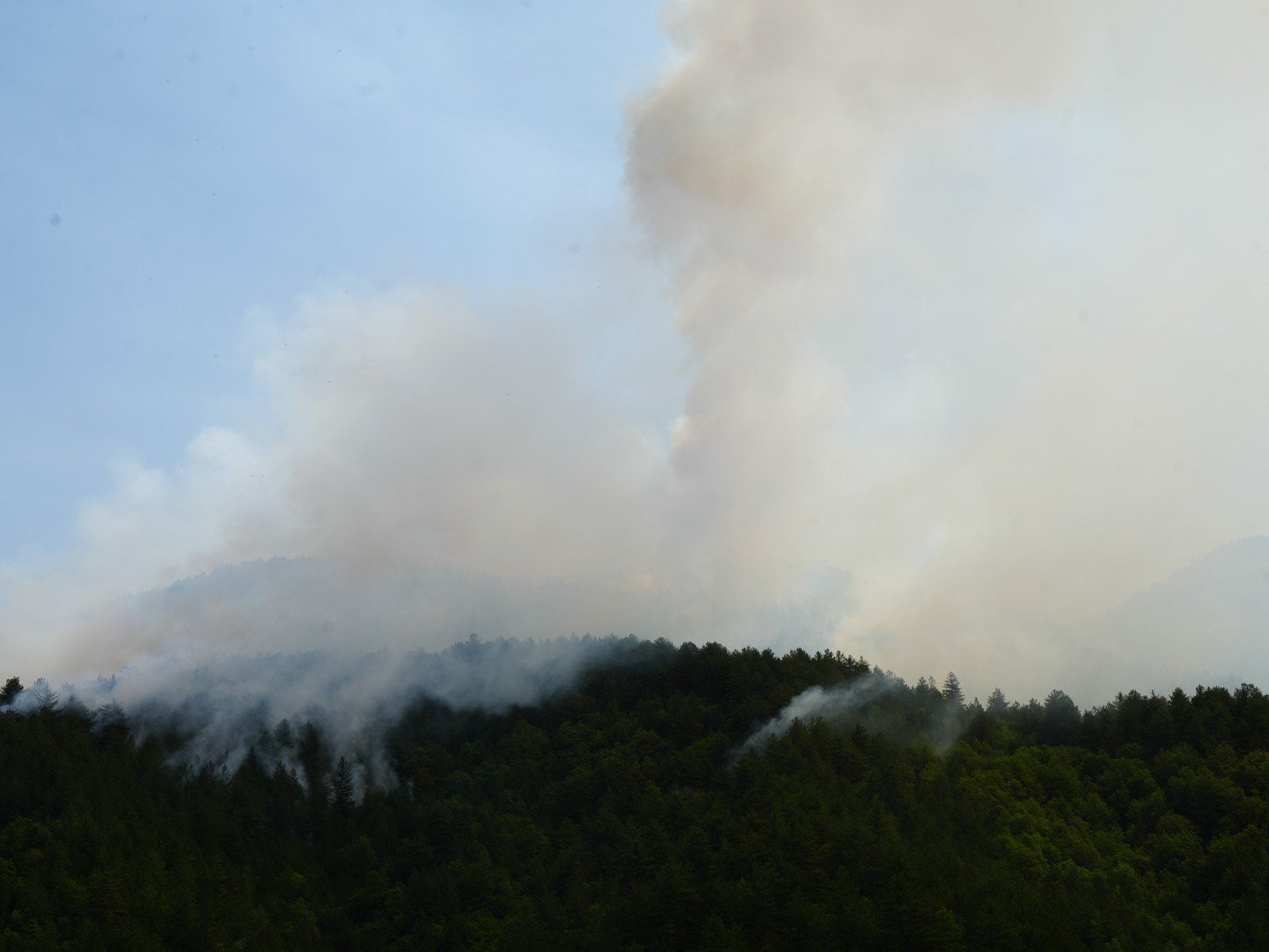Orman Yangını Ihsangazi (1)
