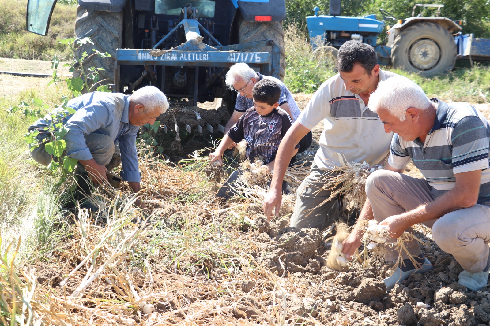 Taşköprü (1) Kopya