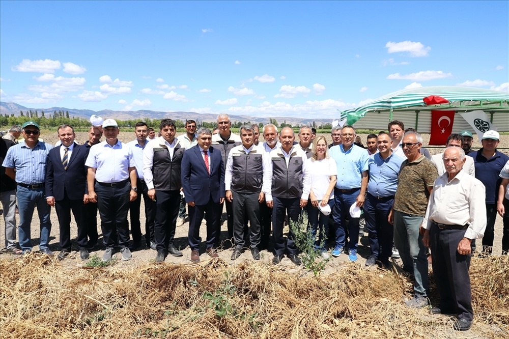 Türkşeker'e Kastamonu'dan Katkı (1)