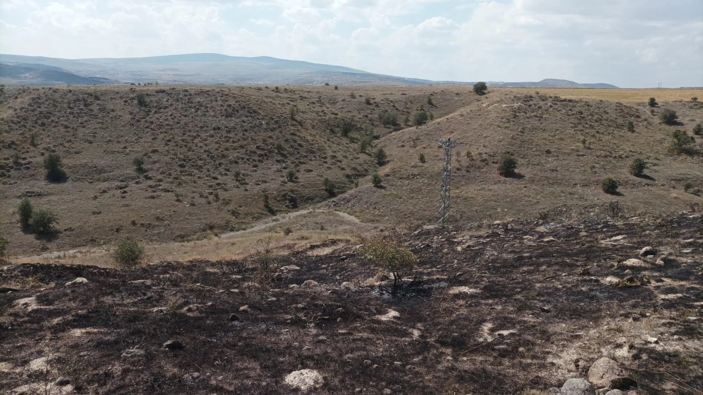 Çankırı Arazi Yangını (2)