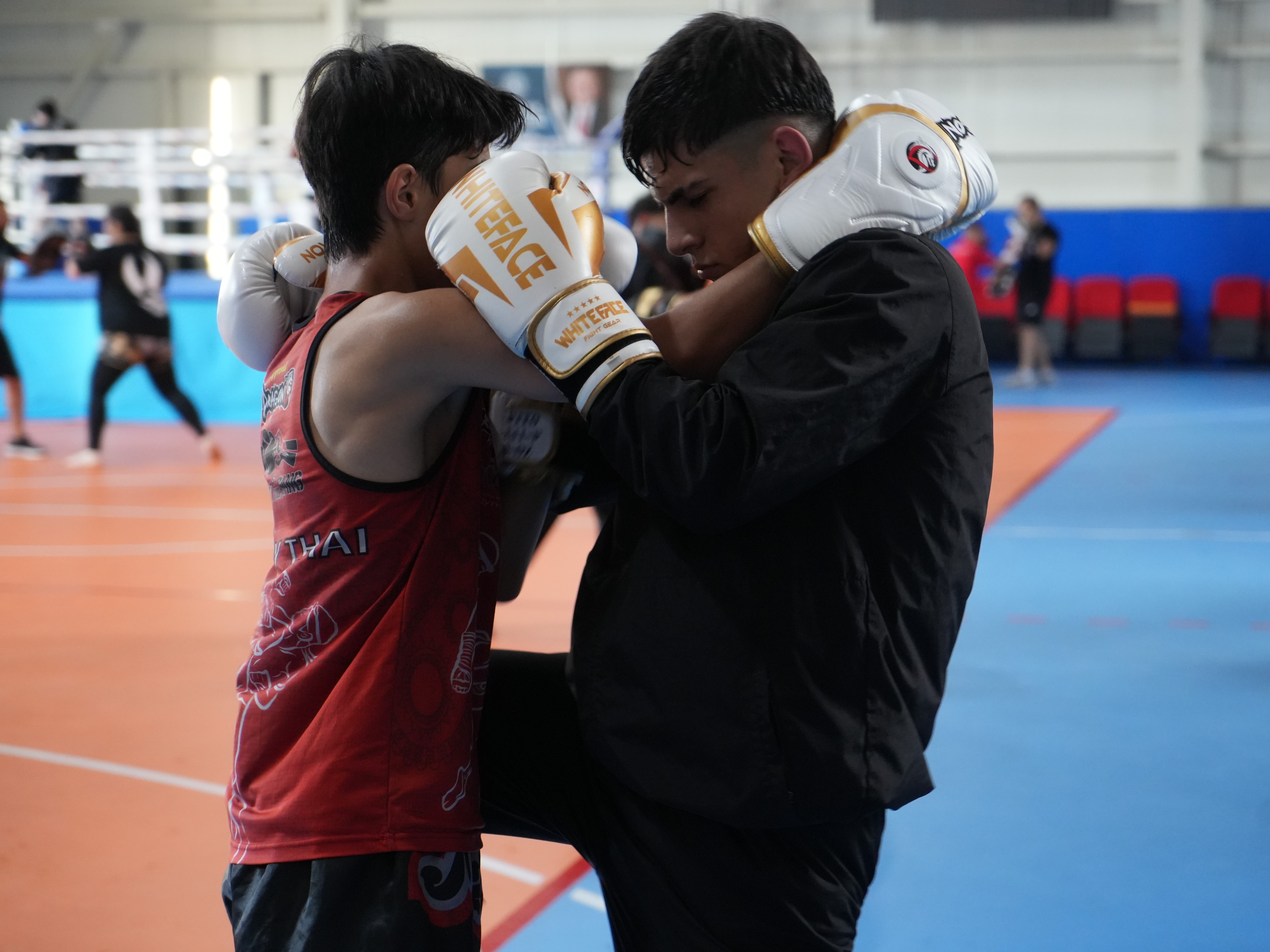 Gençler Muaythai Milli Takımı, Kastamonu'da Son Kampını Yaptı (1)