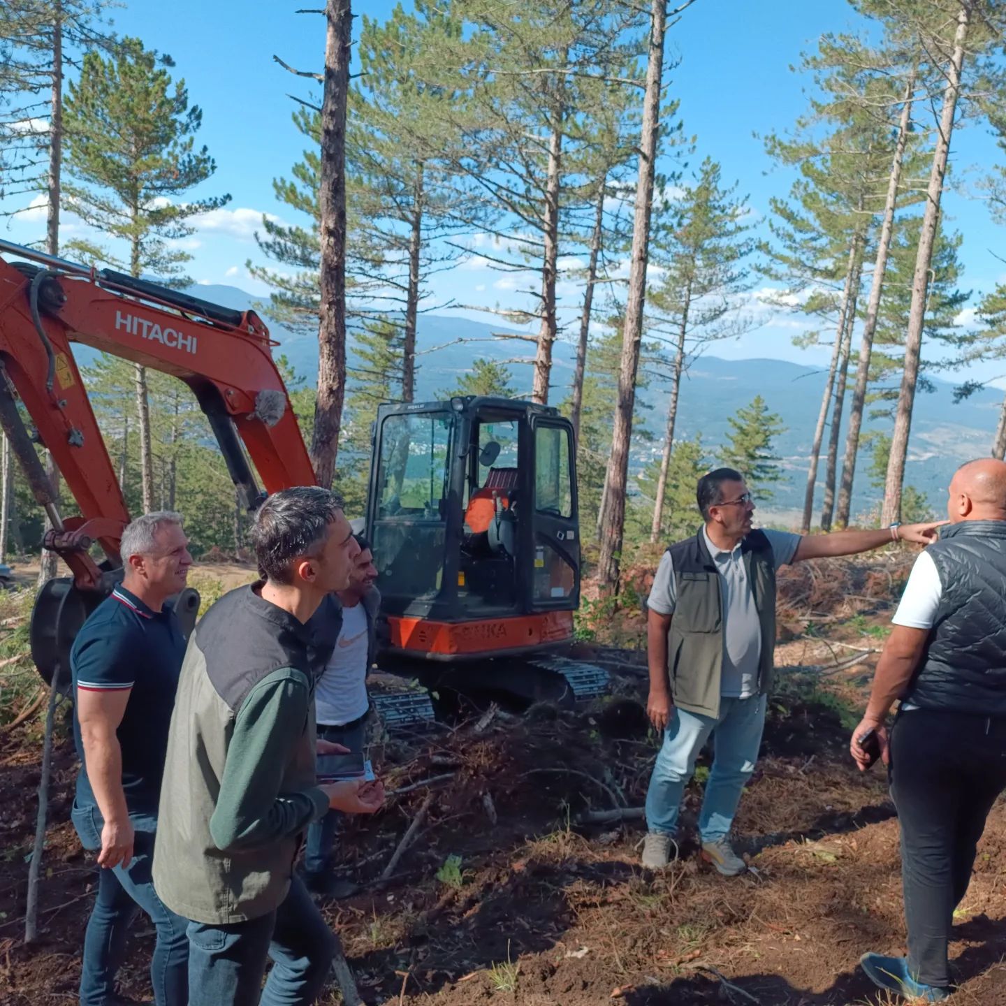 Kastamonu Ormanlarında ‘Doğal Gençleştirme’ Incelemesi (3)