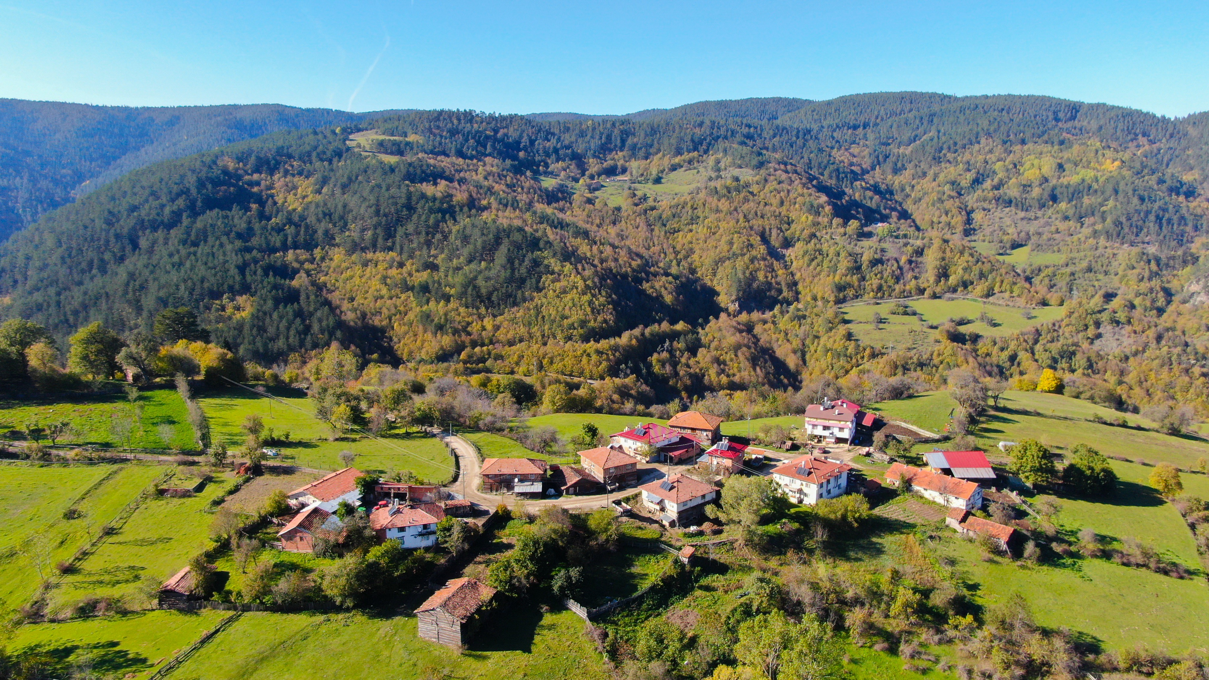 Ilgaz Dağı'nda Sonbahar Ve Kar Buluştu, Ortaya Renk Cümbüşü Çıktı (1)