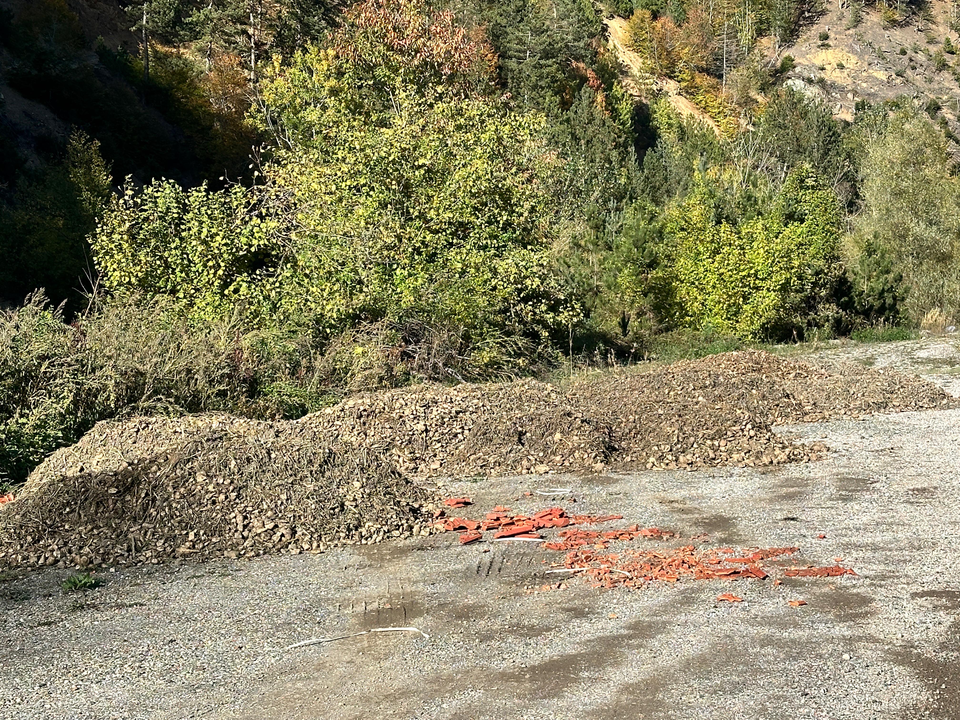 Kastamonu Şeker Fabrikası (1)