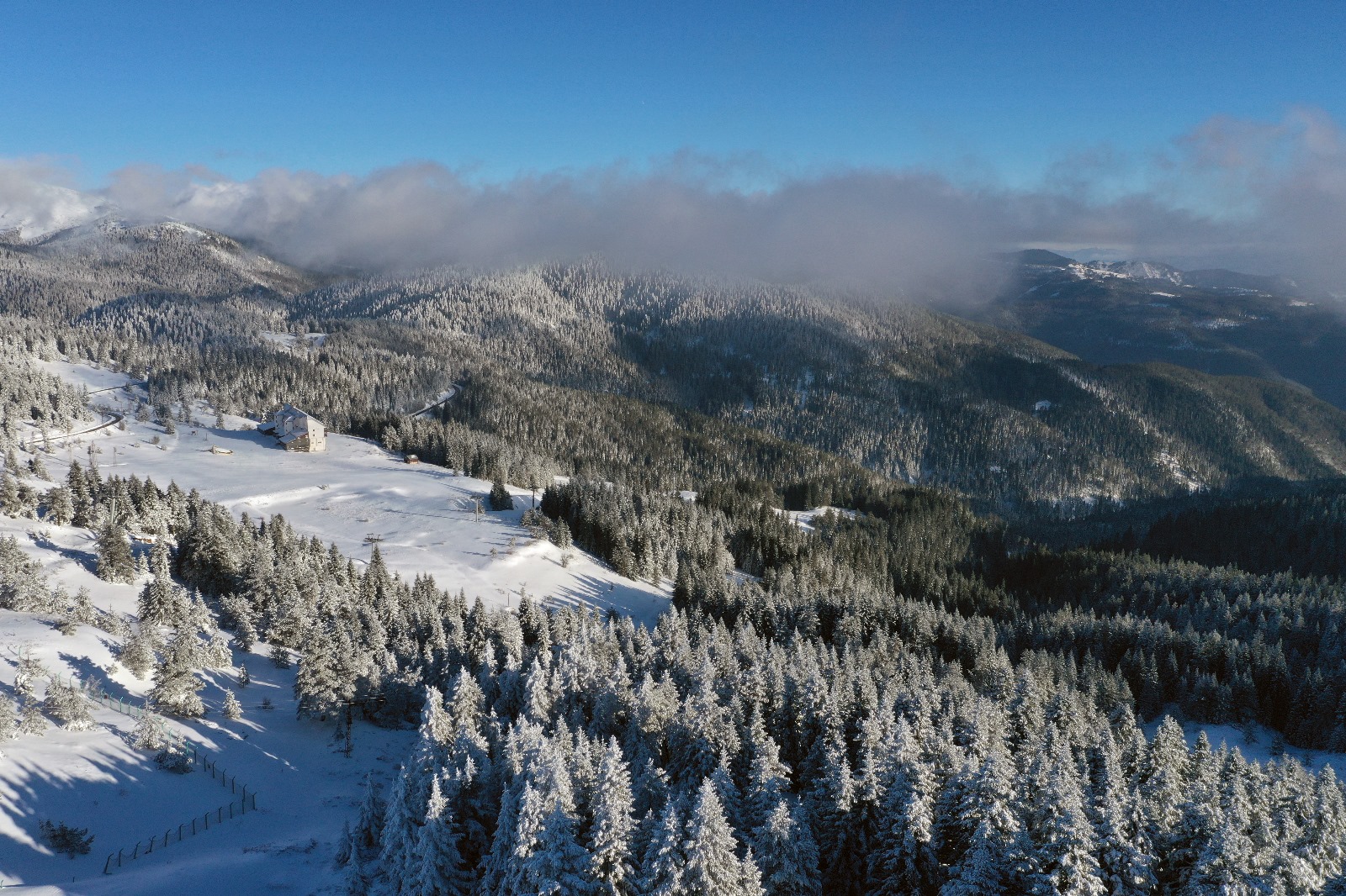 Ilgaz Güneş (1)