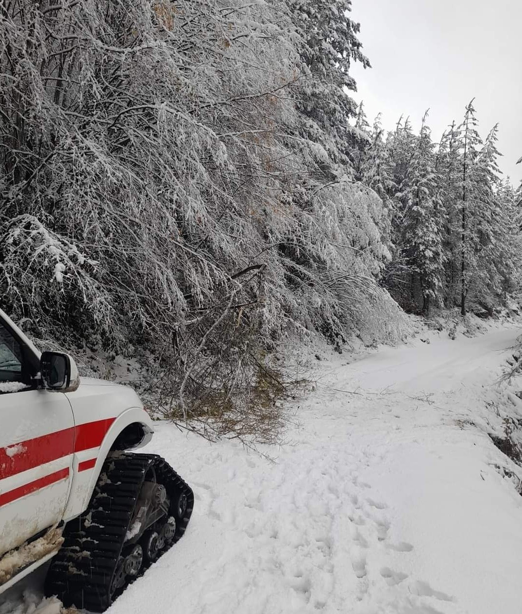 Kastamonu Koah Hastası (2)