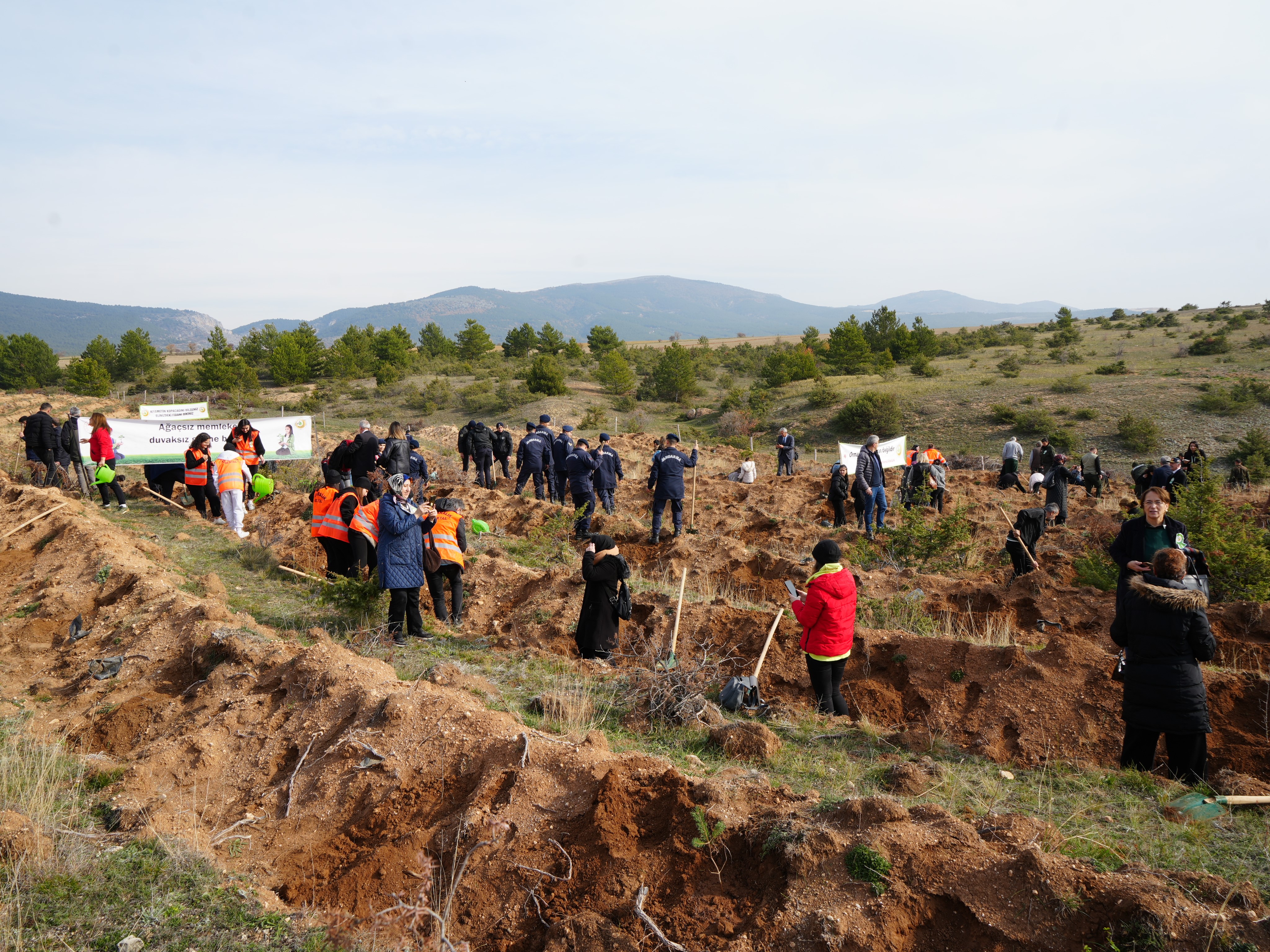 Kastamonu Orman Bölge Müdürlüğü (3)-5