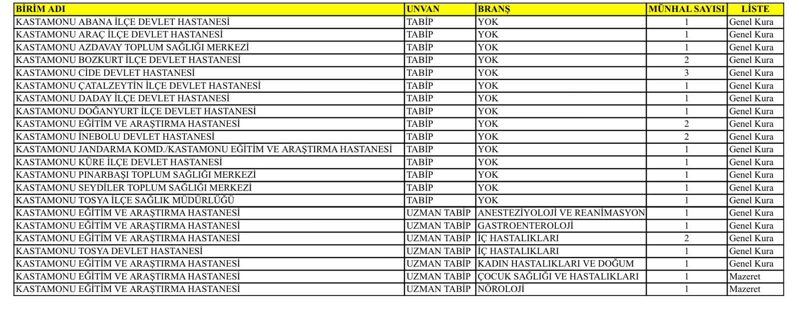 Kastamonu Doktor Ataması-1