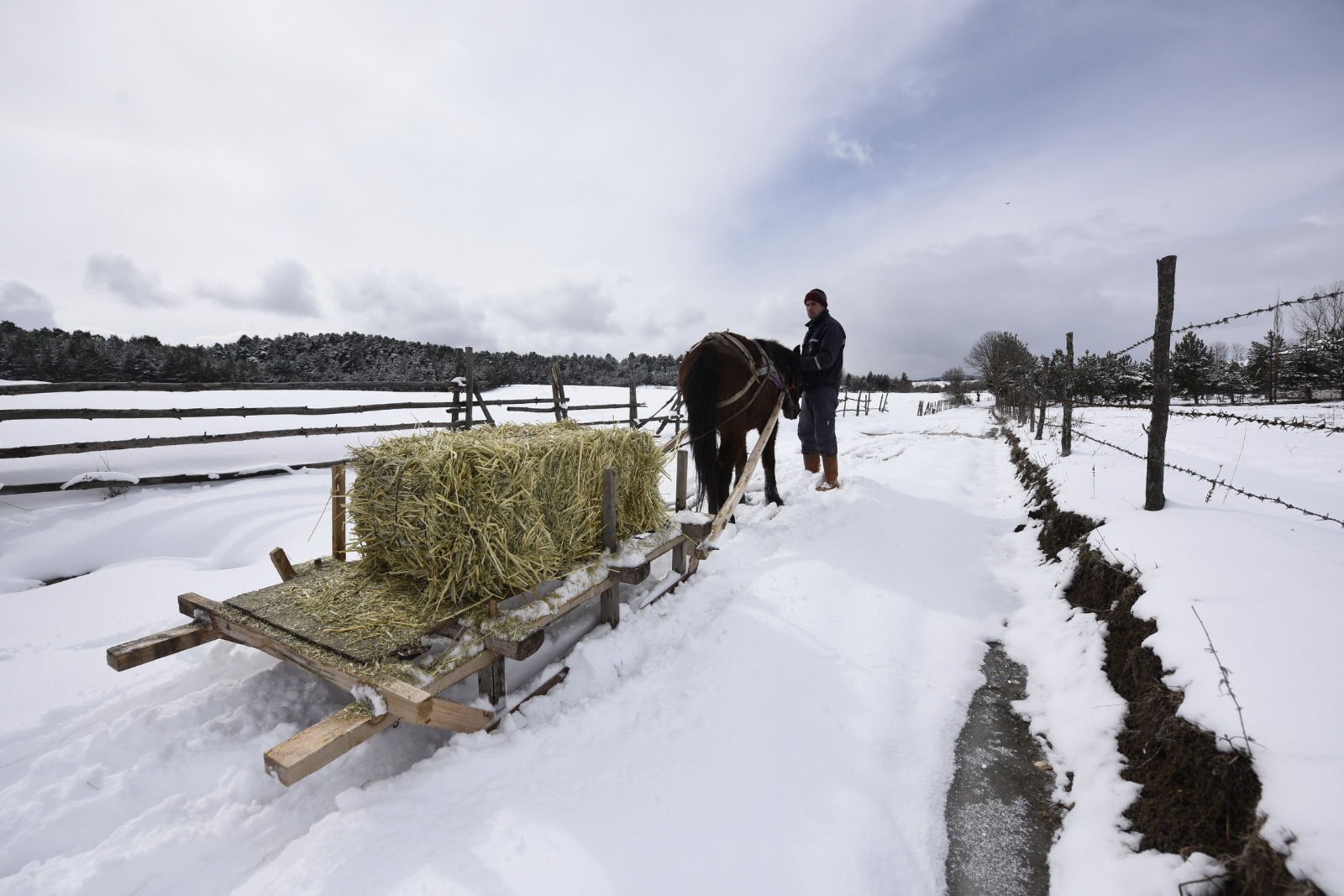 Mustafa Afacan (1)-2