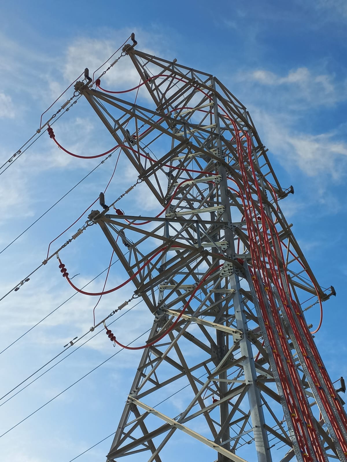 I M G 20250307 W A0006