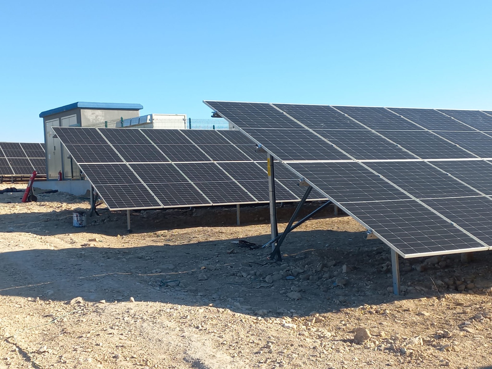 I M G 20250307 W A0008