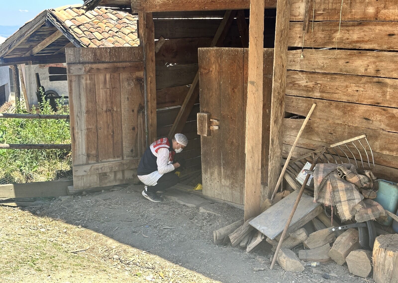 baltalı cinayet-1