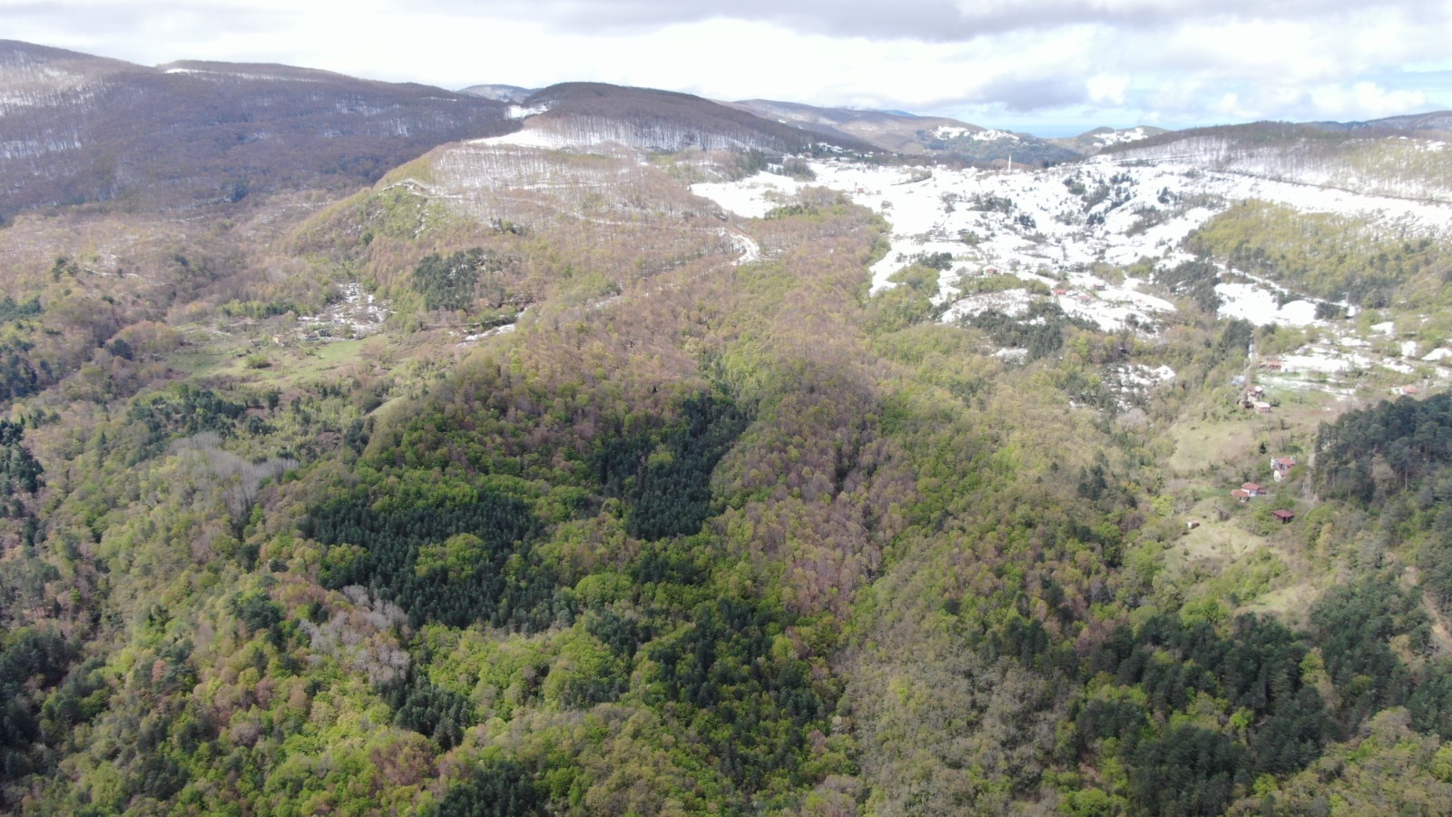 Bahar Ve Kış Kol Kola (4)