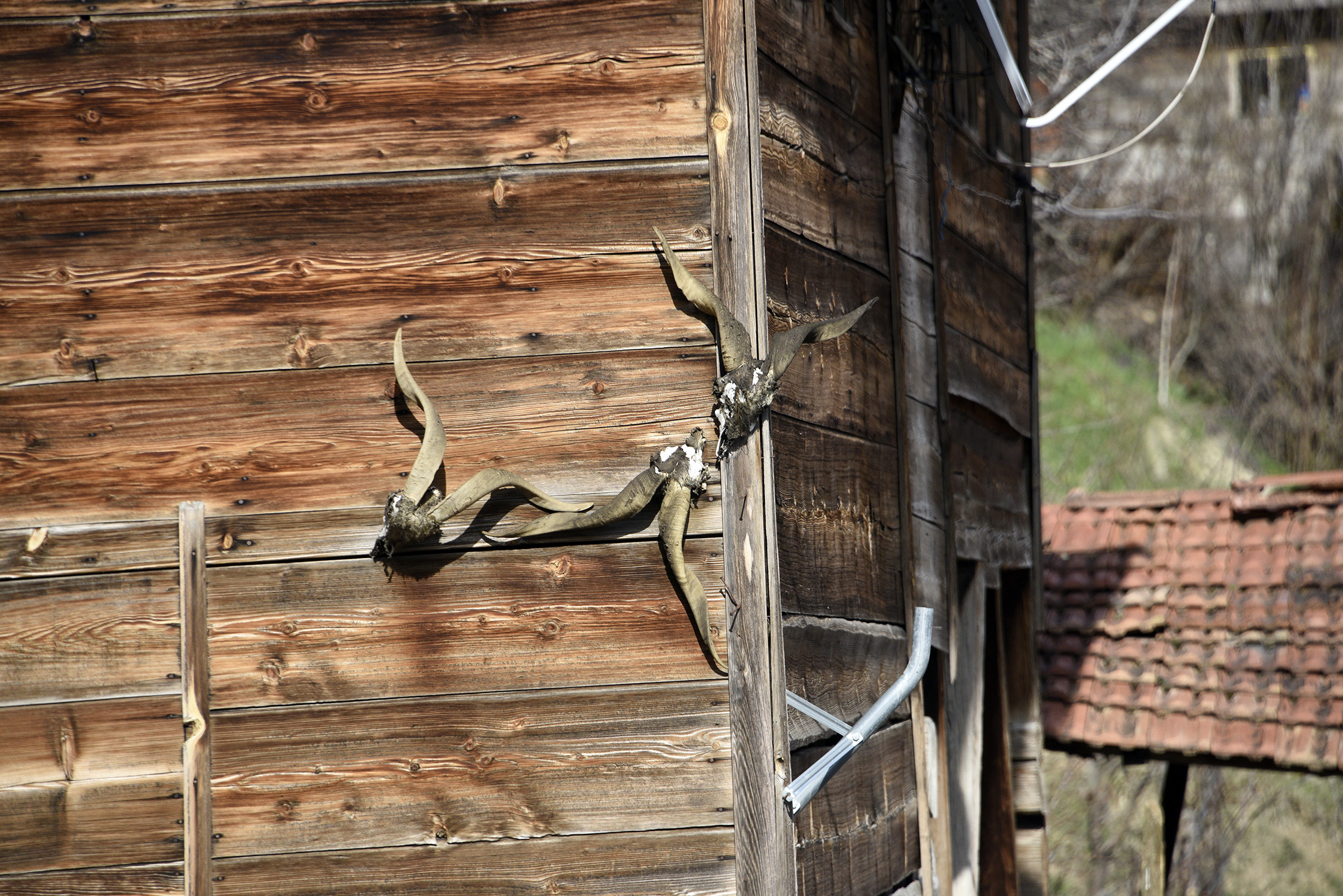 Cebrai̇l Keleş Köşe (1)-15