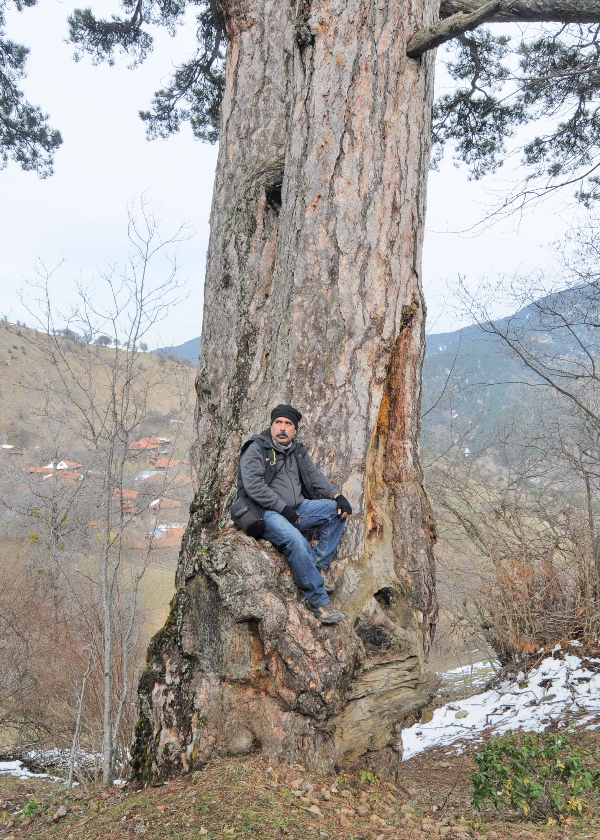 Cebrai̇l Keleş Köşe (2)-16