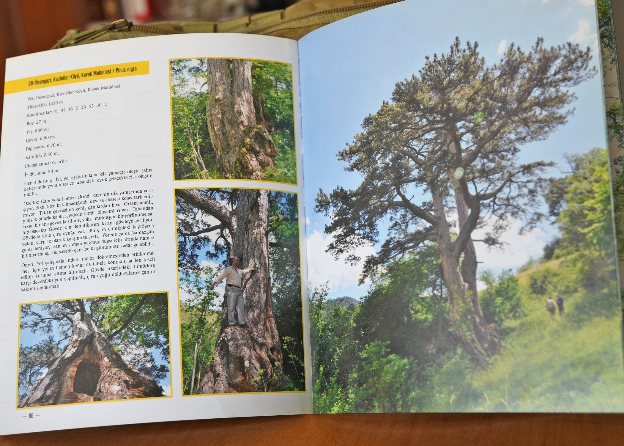 Cebrai̇l Keleş Köşe (3)-13