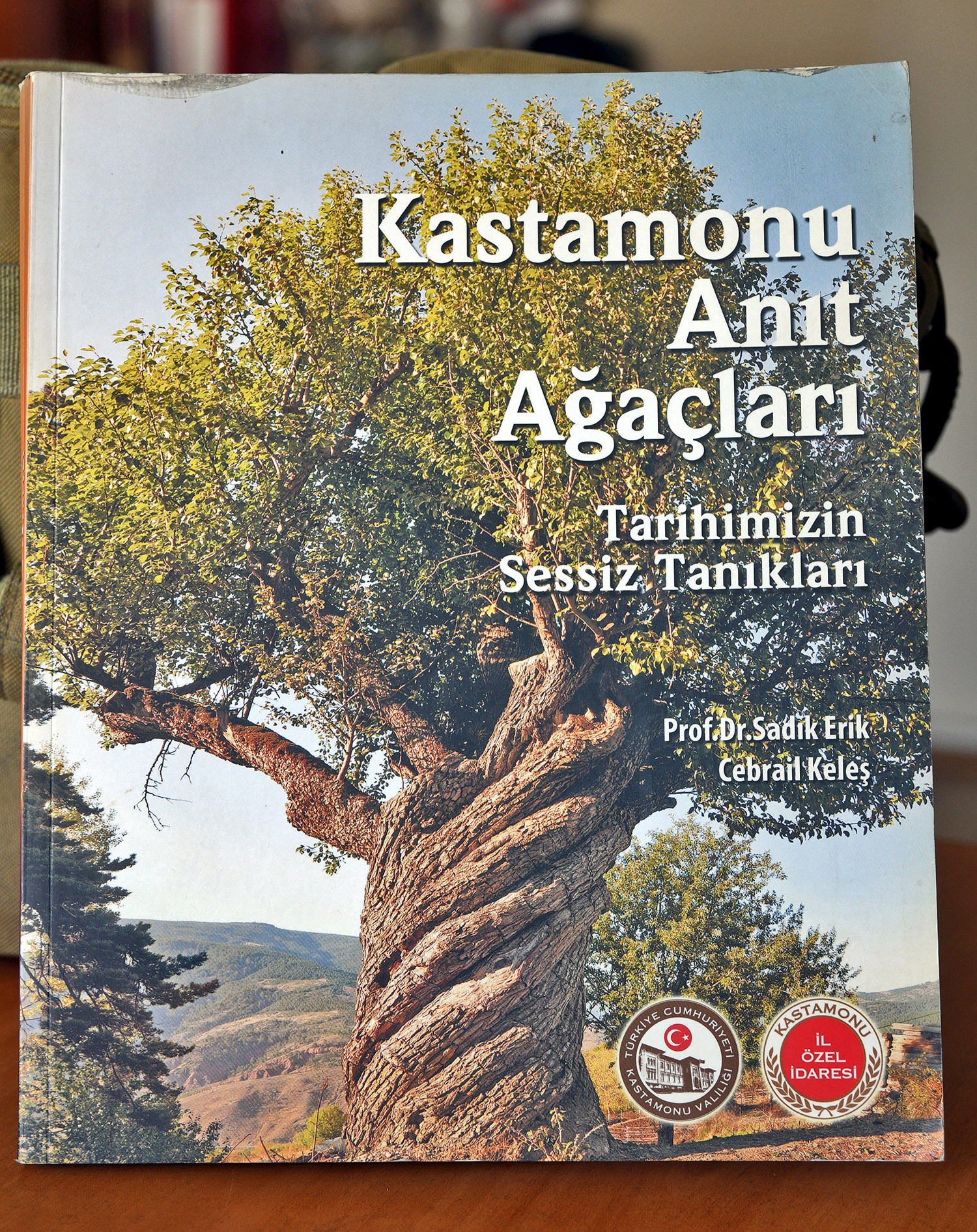 Cebrai̇l Keleş Köşe (4)-12