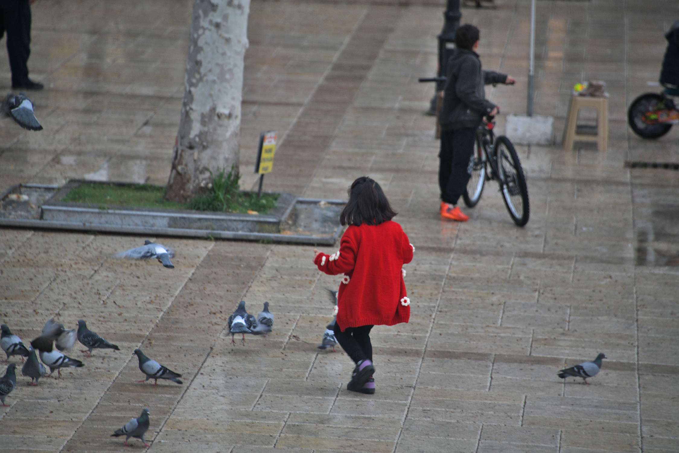 Cebrai̇l Keleş Köşe (9) (3)