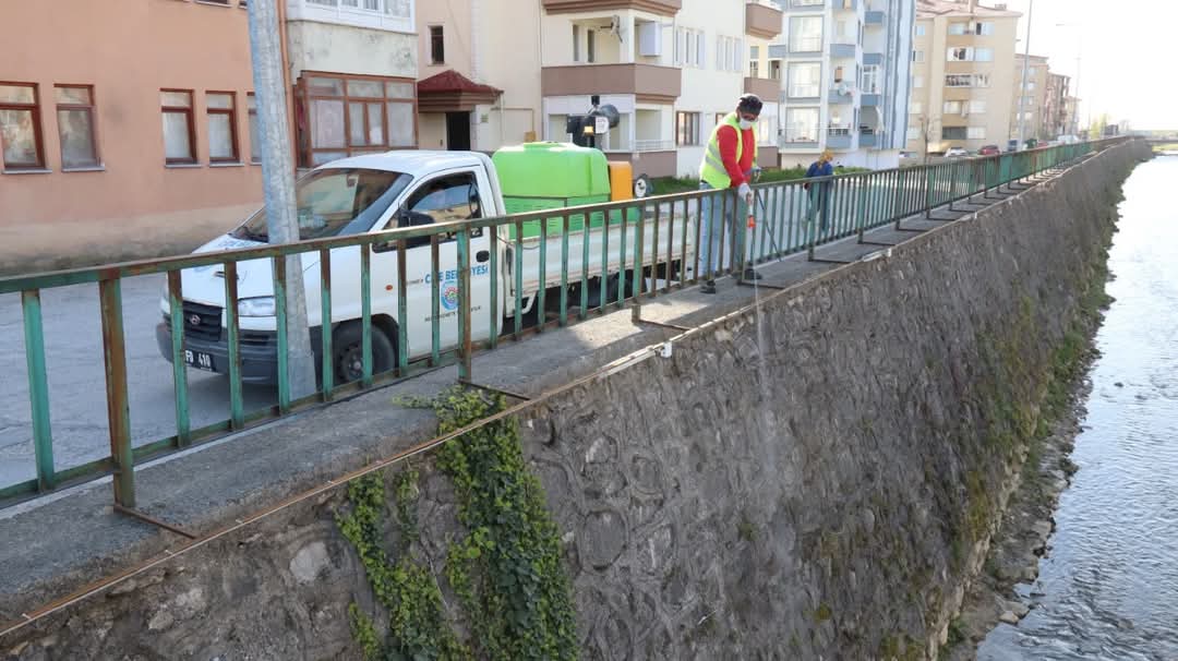 Cide’de Dereler Ilaçlandı (1)