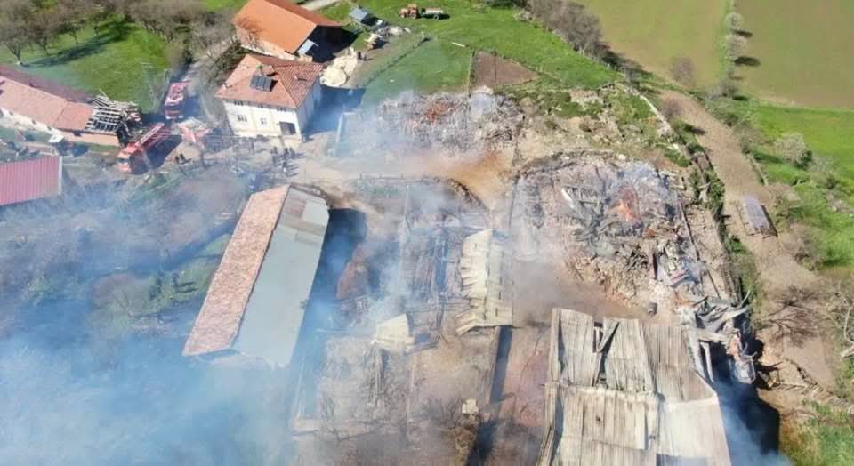 F B I M G 1745996067493