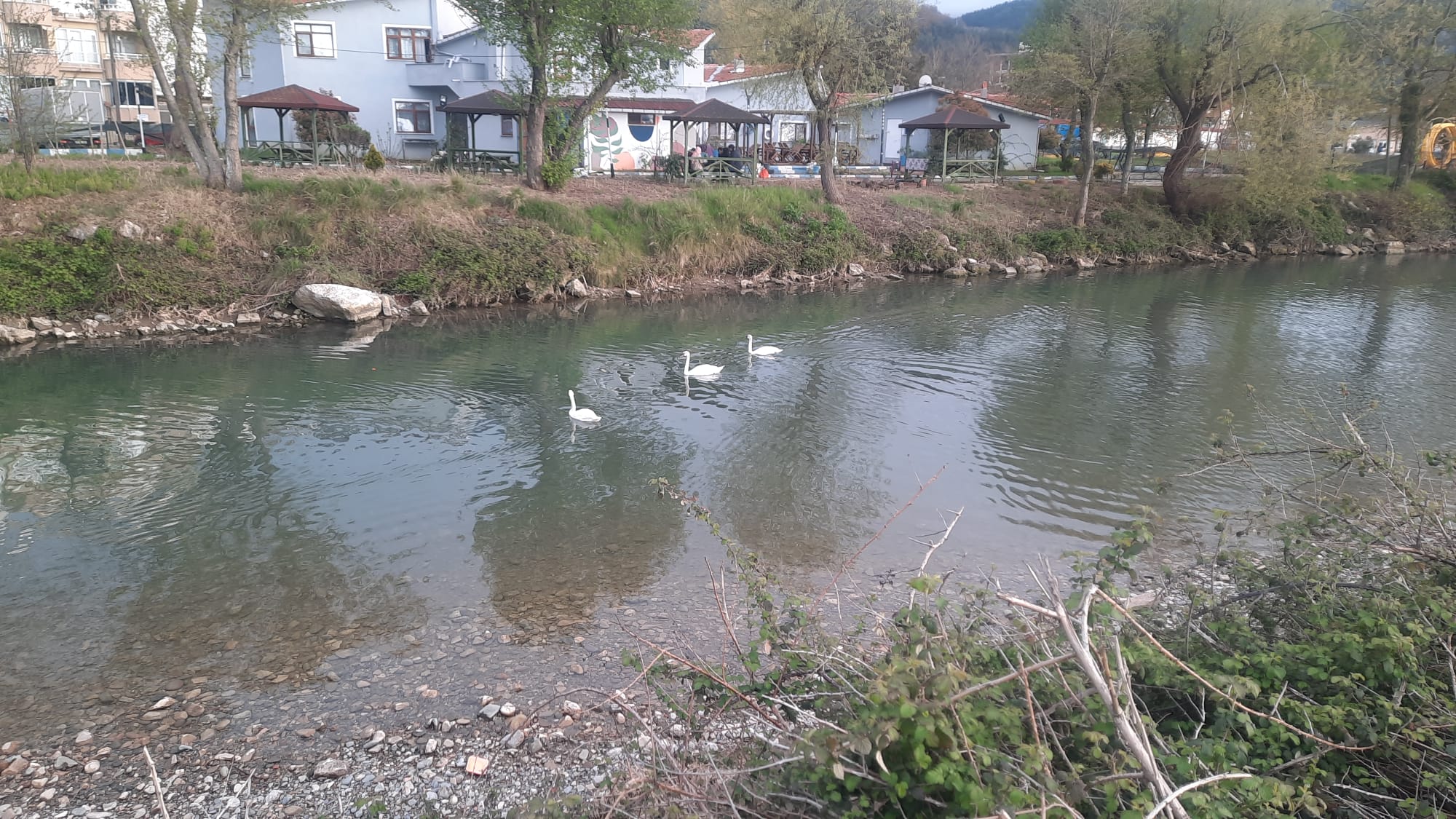 I M G 20250420 W A0014