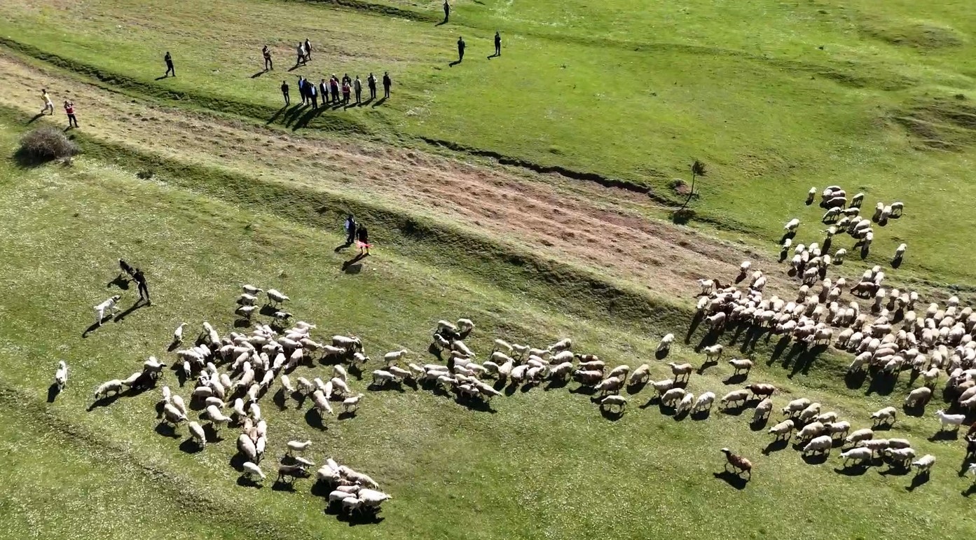 Kastamonu Böyle Kavuşma Görmedi (1)