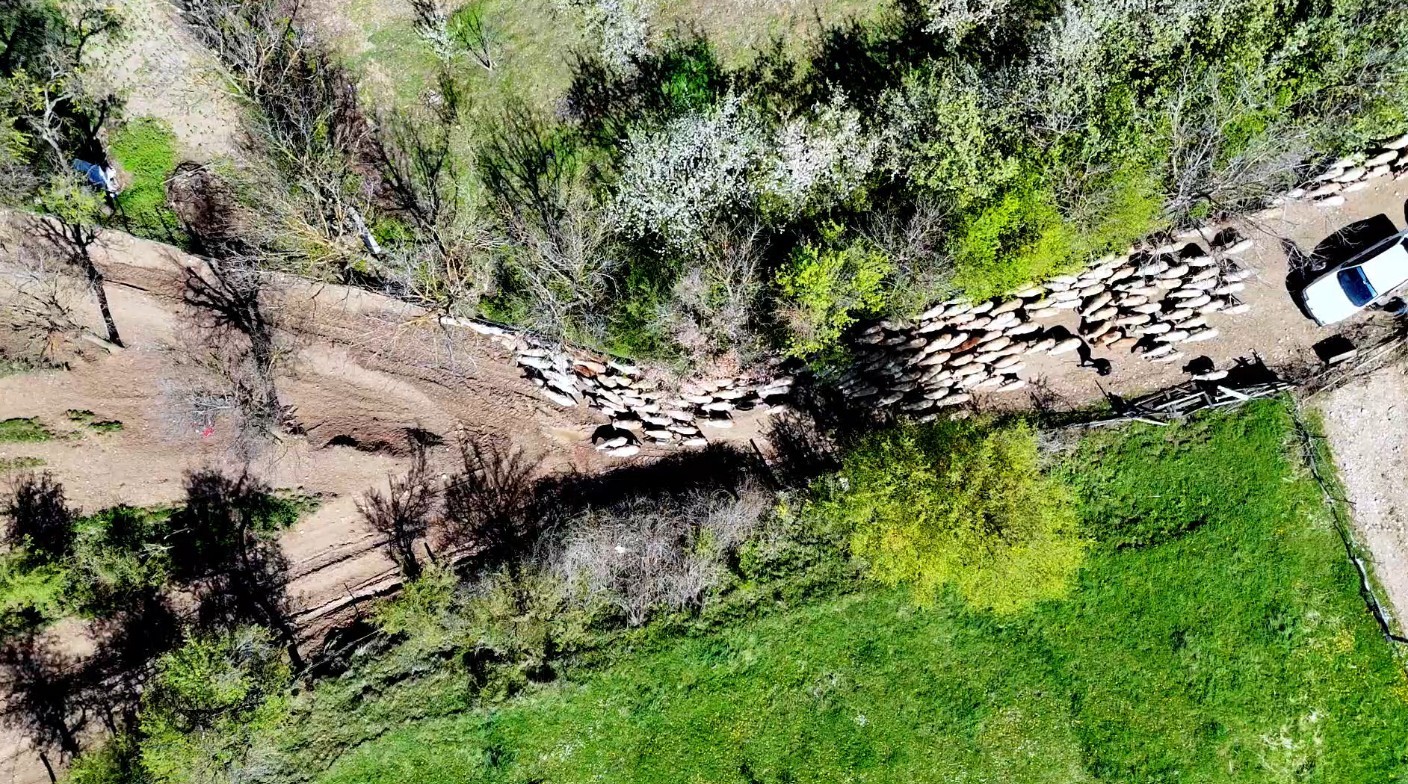 Kastamonu Böyle Kavuşma Görmedi (2)