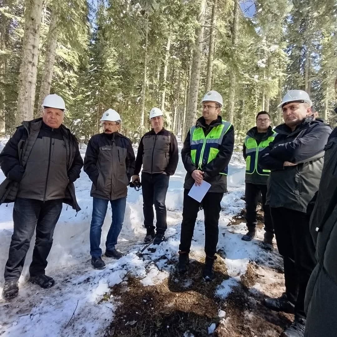 Kastamonu Ormanlarına Fransızlar Hayran Kaldı1