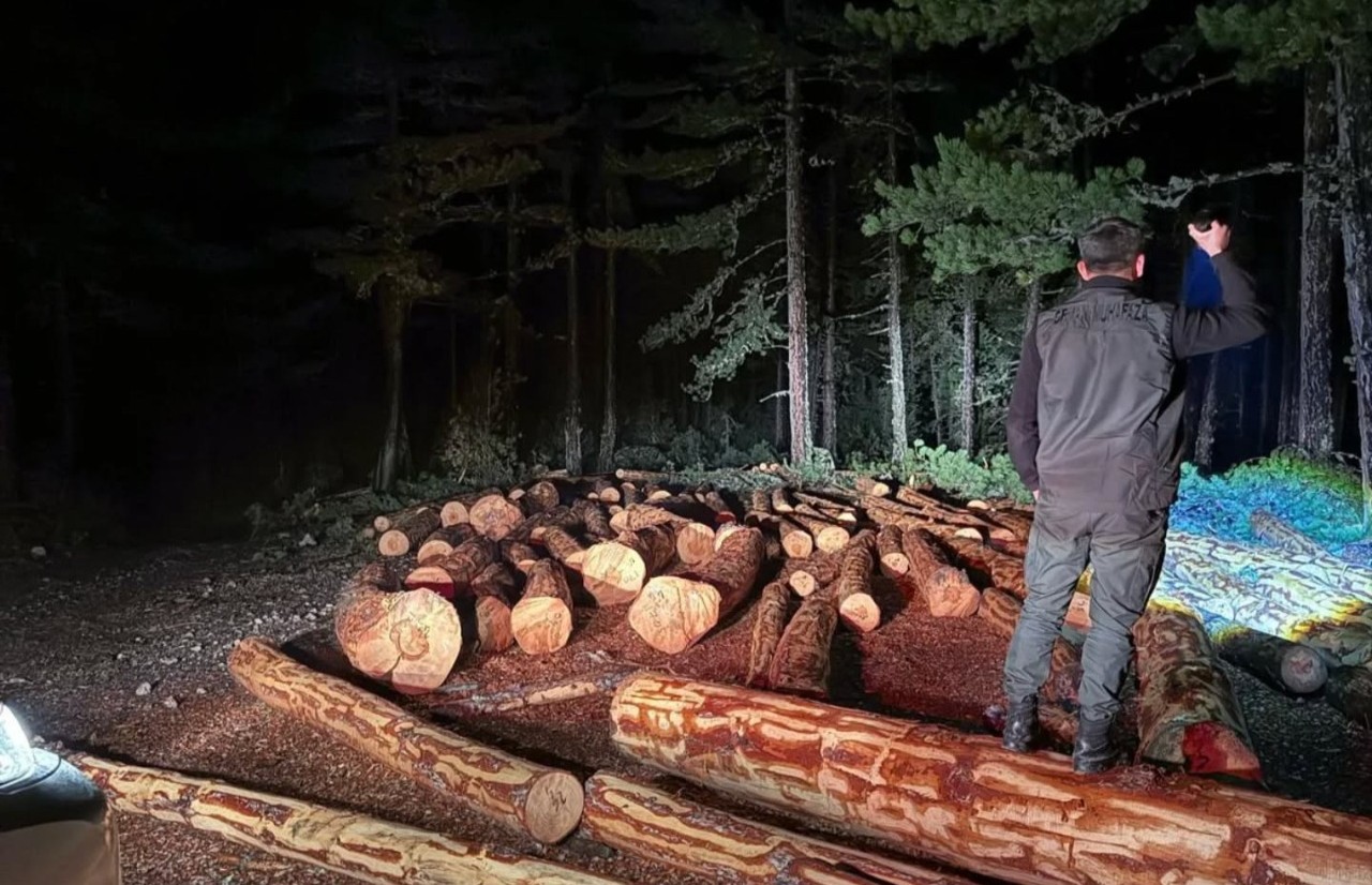 Kastamonu Ormanlarında Gece Mesaisi!.. (2)