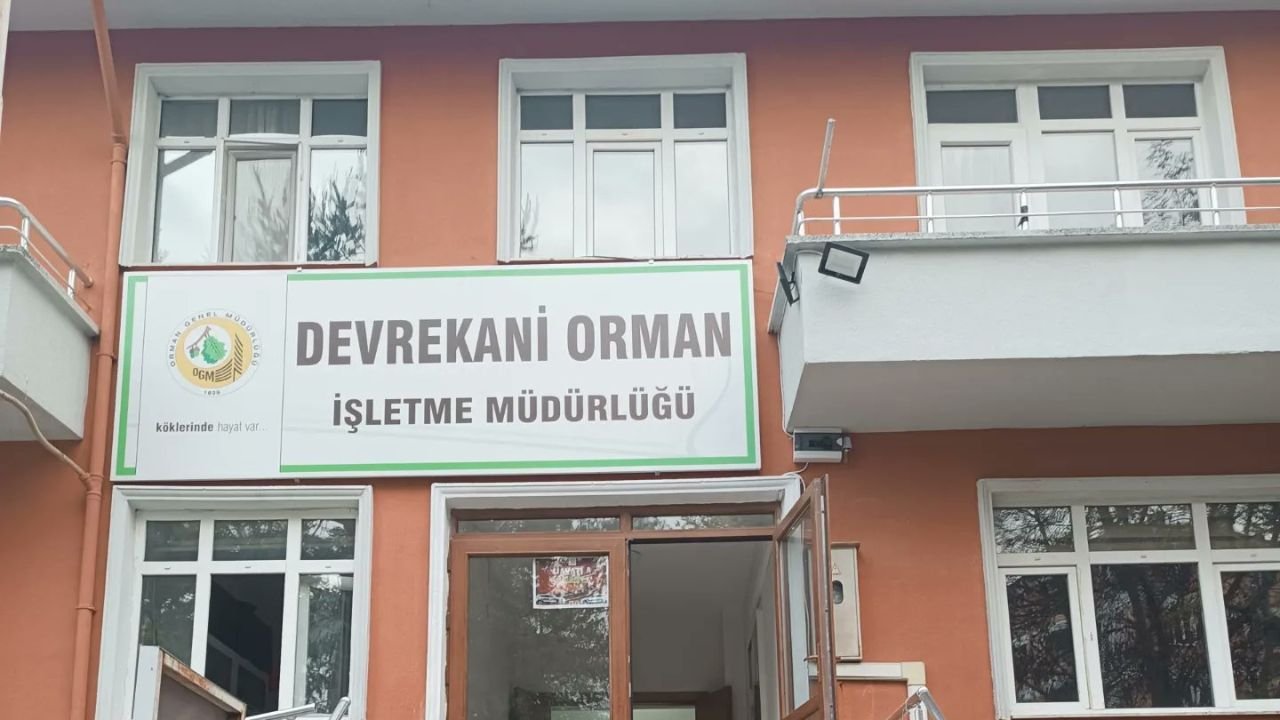 DEVREKANİ ORMAN İŞLETME MÜDÜRLÜĞÜ ORMANCILIK ÇALIŞMALARININ TAKİBİ VE KONTROLÜ HİZMETİ ALINACAKTIR
