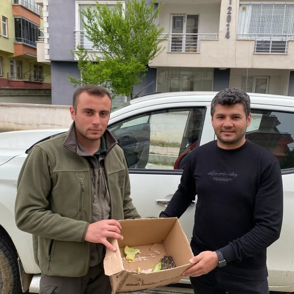 yaralı tavşana şefkat eli