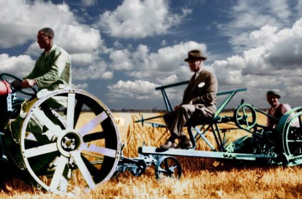 Afacan Köşe (1) (8)