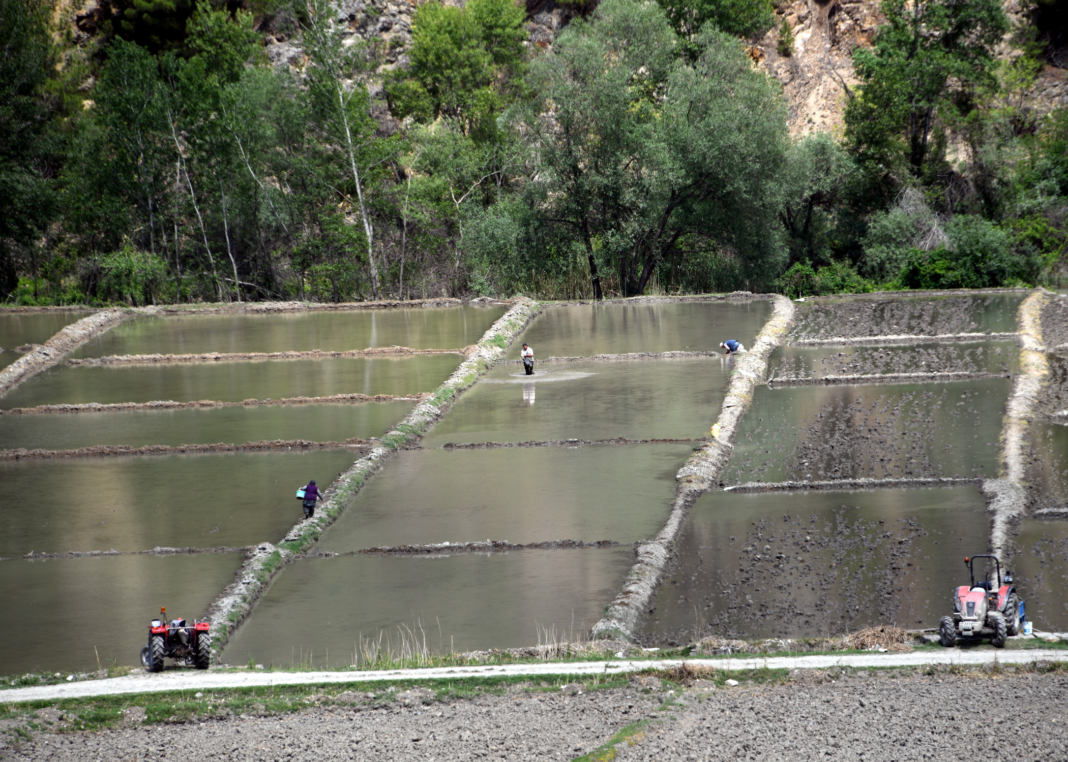Cebrai̇l Keleş Köşe (14) (1)