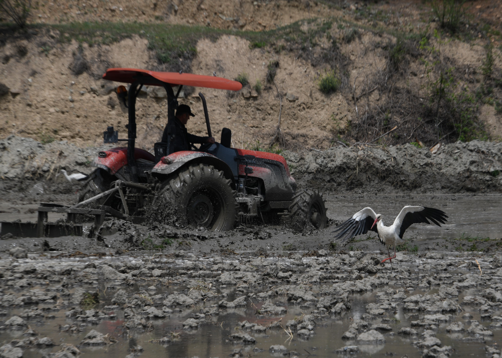Cebrai̇l Keleş Köşe (5) (5)