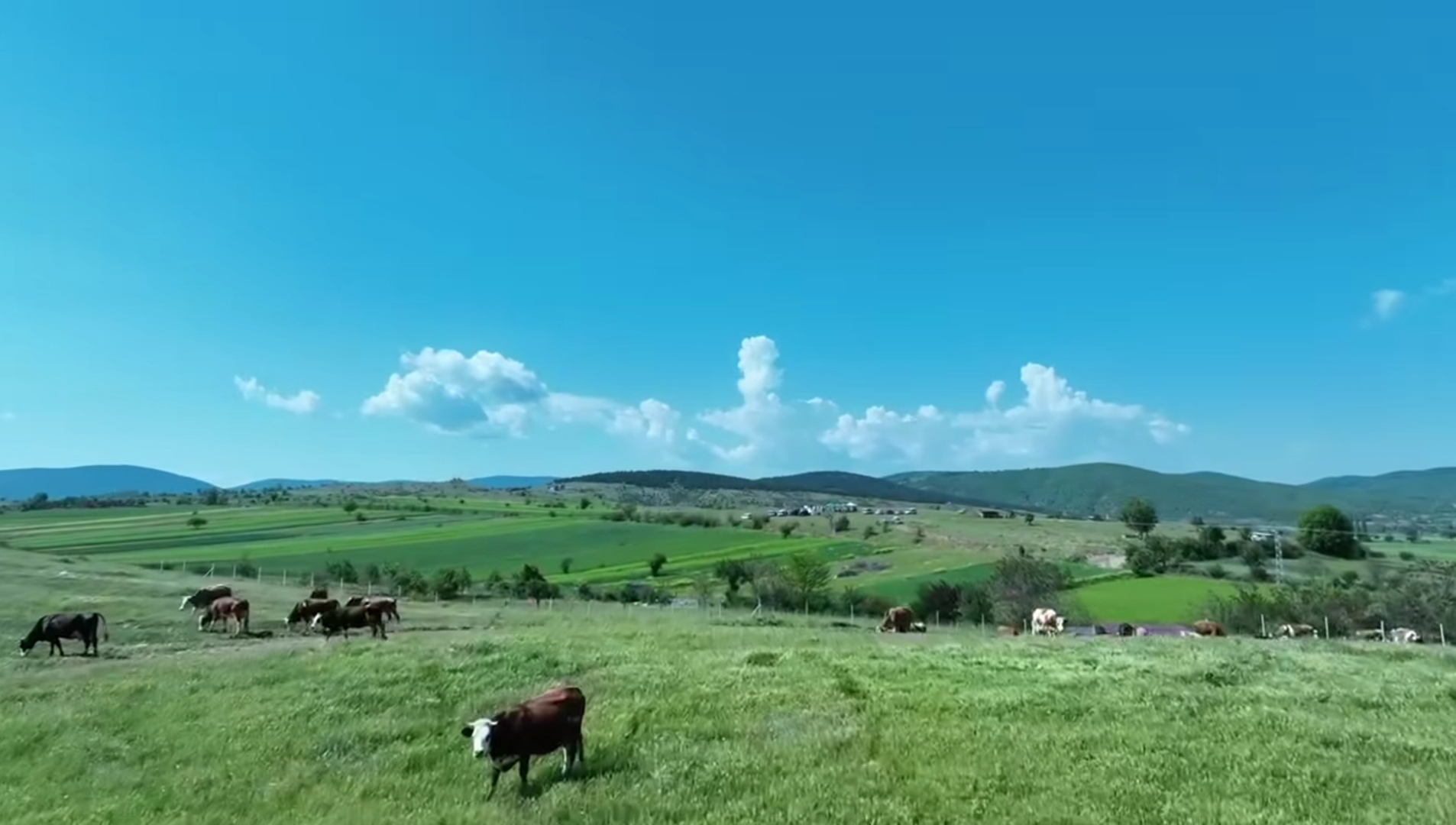 I M G 20250524 192852