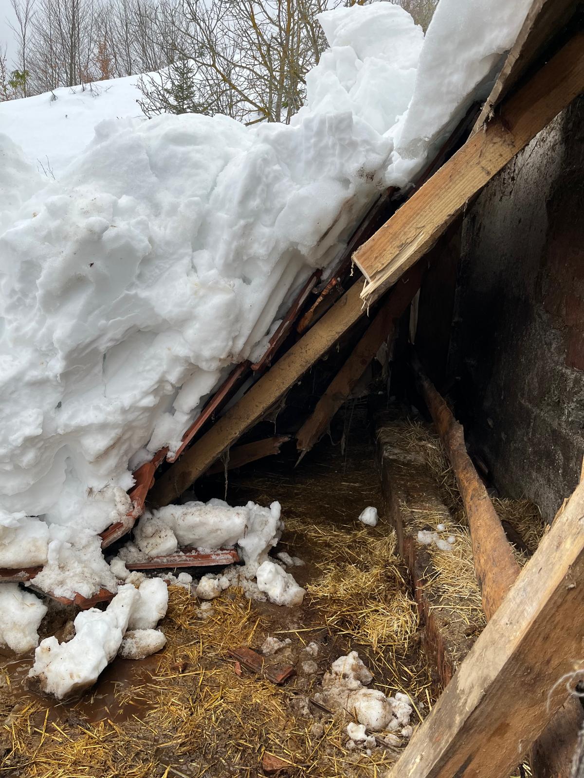Kastamonu'da Kar Nedeniyle Ahırı Yıkılan Vatandaşa Çadır Kuruldu (1)