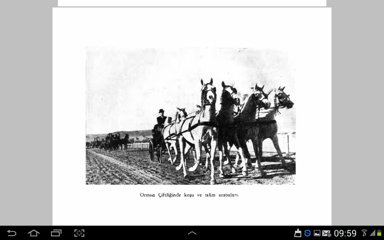 Mustafa Afacan Köşe (8)