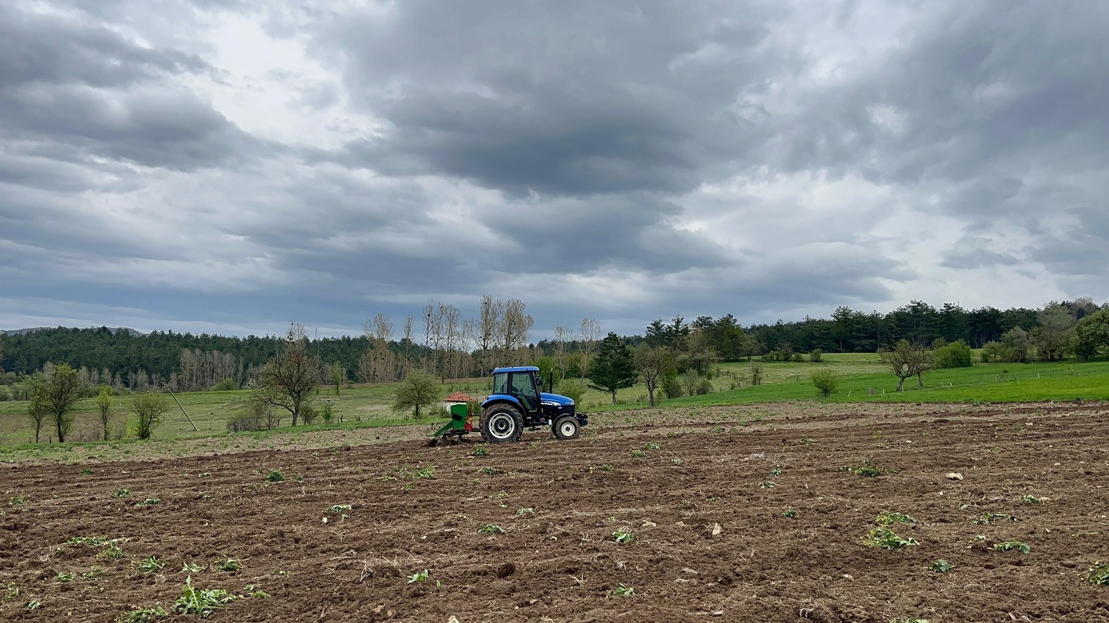 kastamonu çölyak karabugday